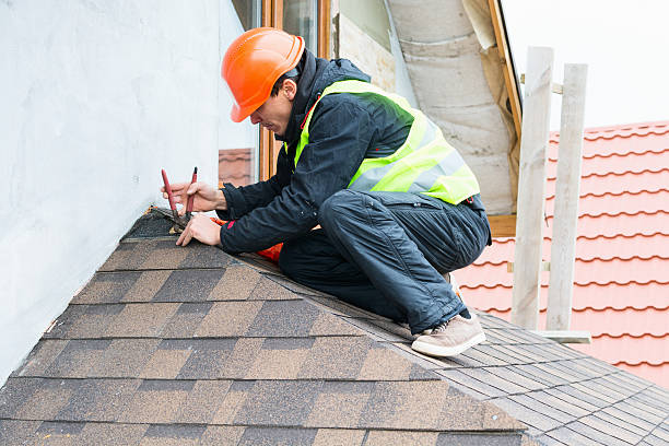 Best Roof Gutter Cleaning  in Harvey, MI