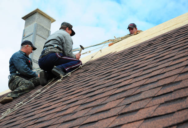 Best Local Roofing Companies  in Harvey, MI